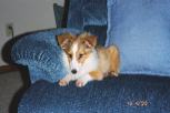 Sadie making herself at home