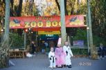 Matt, Sarah and Josh at the Zoo Boo in Battle Creek, Michigan
