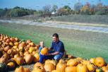 Dad and Matt check out the perfect pumpkin